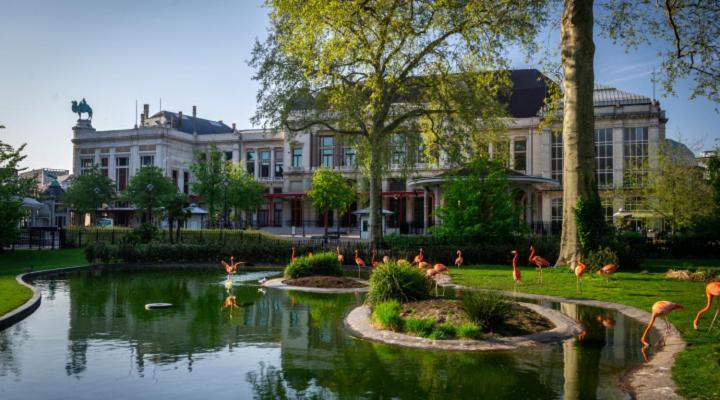 In Center With Terrace, Netflix - Wifi Apartment Antwerpen